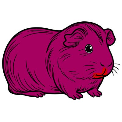 a guinea pig