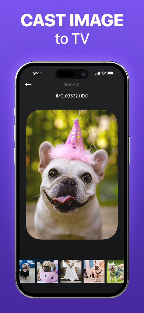 Smart Remote Control & TV Cast - Tela do smartphone exibindo o recurso de transmissão de imagem para TV com uma foto de um cachorro