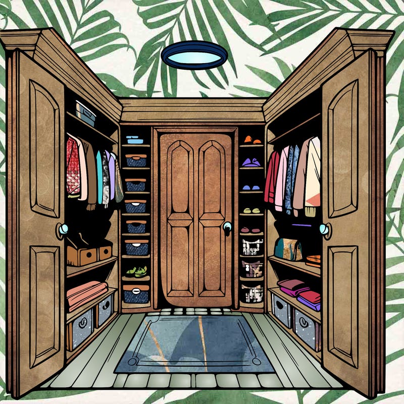 closet with perspective