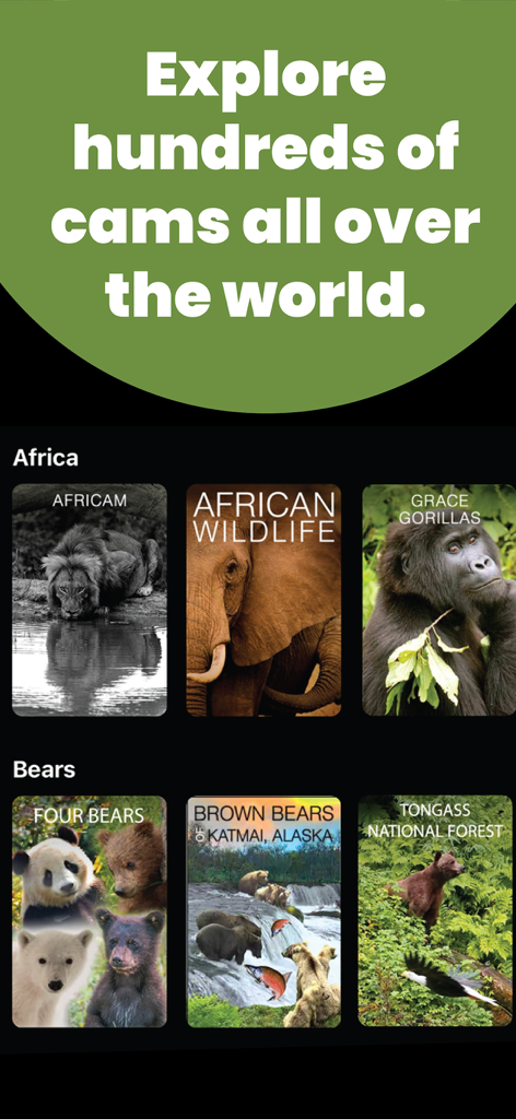 Explore.org: Live Animal Cams - Interface of the Explore.org app displaying live wildlife camera categories for Africa and Bears