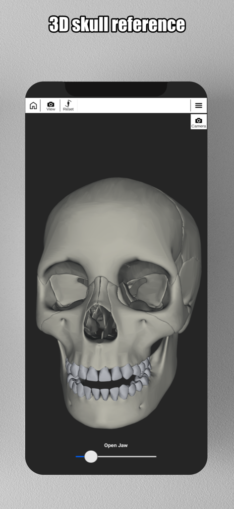 Face Model -posable human head - Interface of the Face Model app displaying a detailed 3D human skull for anatomical art reference