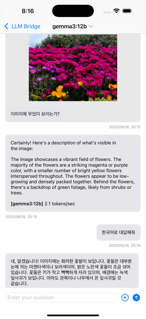 LLM Bridge - Multi LLM Client - Interface of LLM Bridge showing image analysis and translation in a chat using Gemma 3 model.