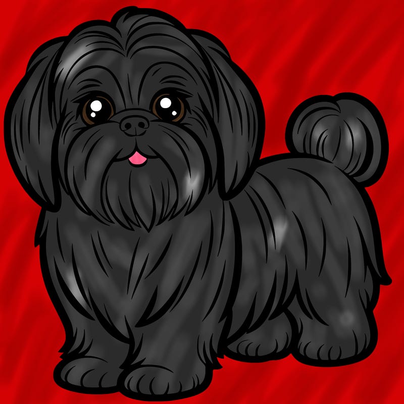 shih tzu
