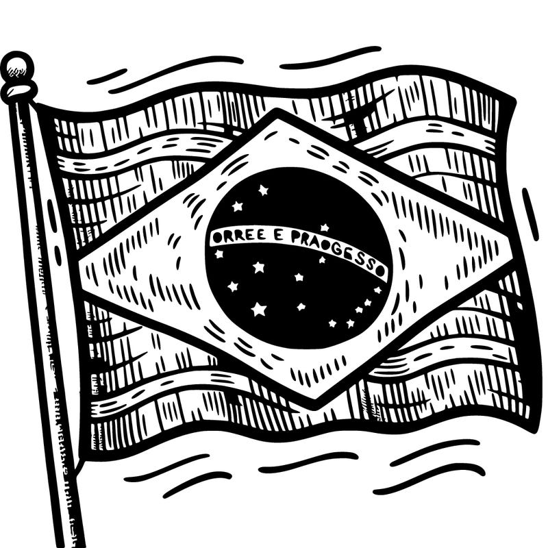 brazilian flag