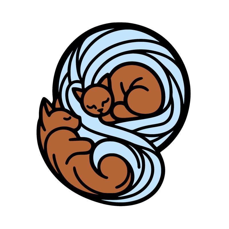 abstract art designed cat curled in a ball seeing reflection of itself