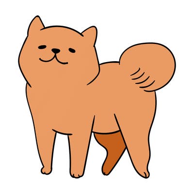 animals_29