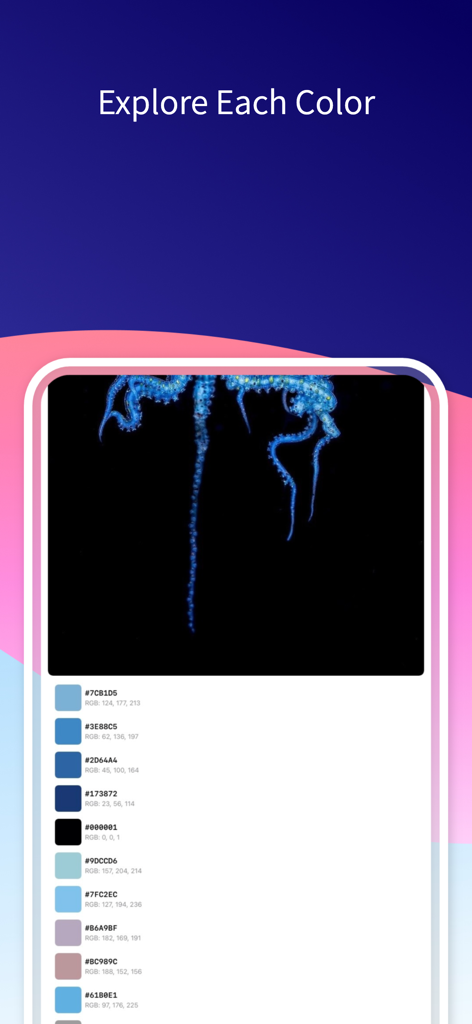 HueMate – Color Extractor - Oberfläche, die extrahierte Farbpaletten mit HEX- und RGB-Codes aus einem Bild in der HueMate App anzeigt.