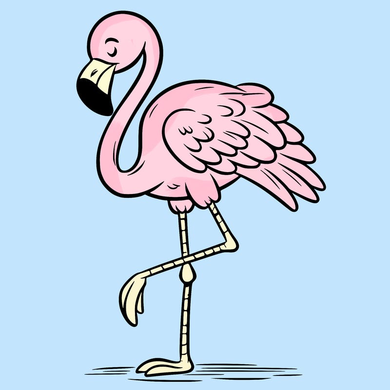 flamingo standing on one leg