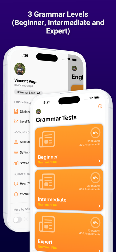 English Grammar Test PRO - English Grammar Test PRO app interface showing beginner intermediate and expert proficiency levels