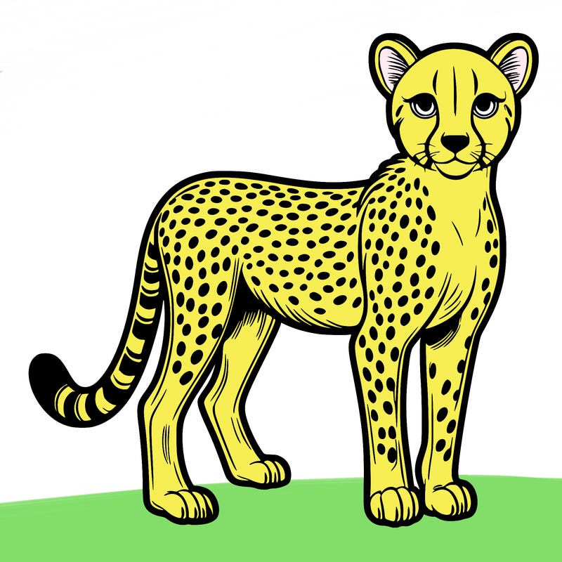 cheetah
