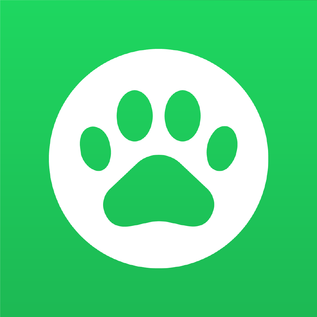 Learn English - Lingoland