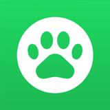 Learn English - Lingoland