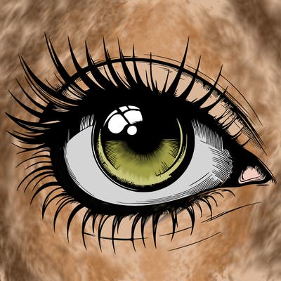 realistic eye