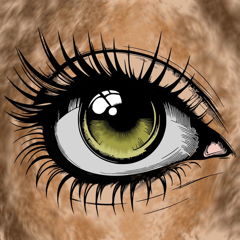 realistic eye