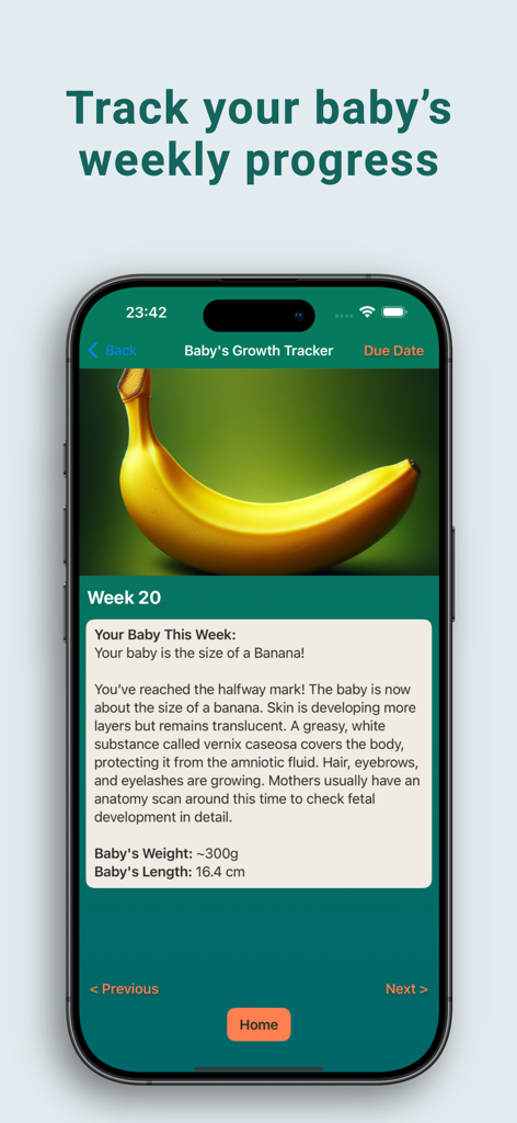 Pregnancy Food Checker & Guide - A baby growth tracker interface showing the baby is the size of a banana at week 20 of pregnancy