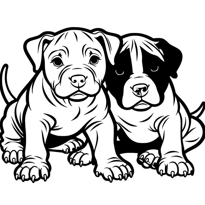 pitbull puppy’s