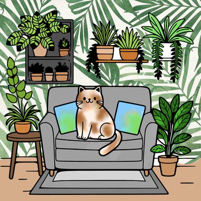cat on a sofa in a room full of plants