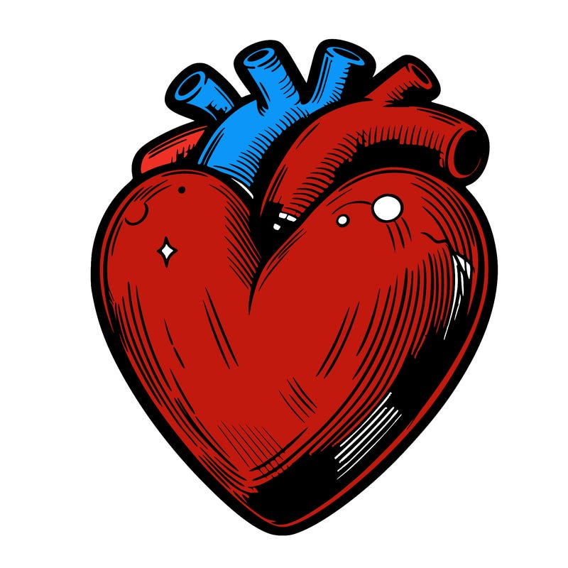 realistic heart