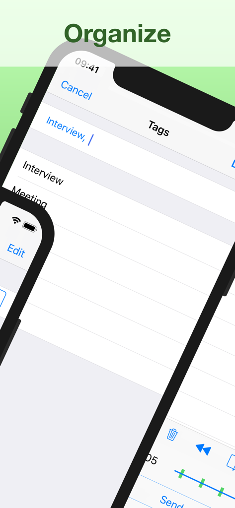 Audio Memos SE: Record Voice - Interfaz de la aplicación Audio Memos SE mostrando organización de grabaciones con etiquetas como Entrevista y Reunión.