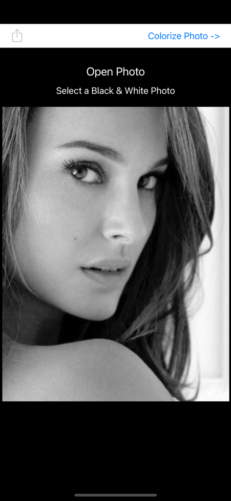 Interfaz de la aplicación Photo Colorizer mostrando un retrato en blanco y negro listo para colorear.