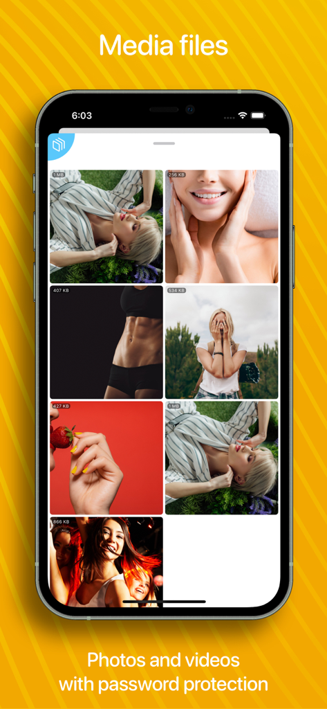 Medien-Galerie-Oberfläche der Fox Tail App, die passwortgeschützte Fotos und Videos anzeigt.