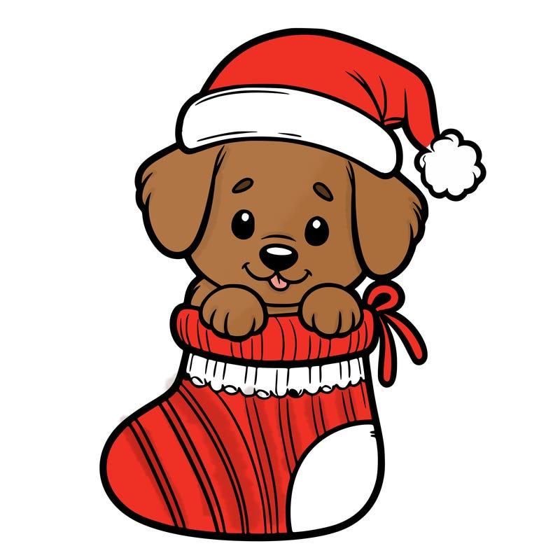 cute puppy wearing santa hat in socking