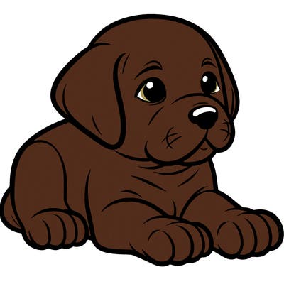 puppy labrador