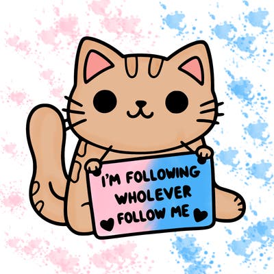 cat with a sign that says i’m following whoever follows me