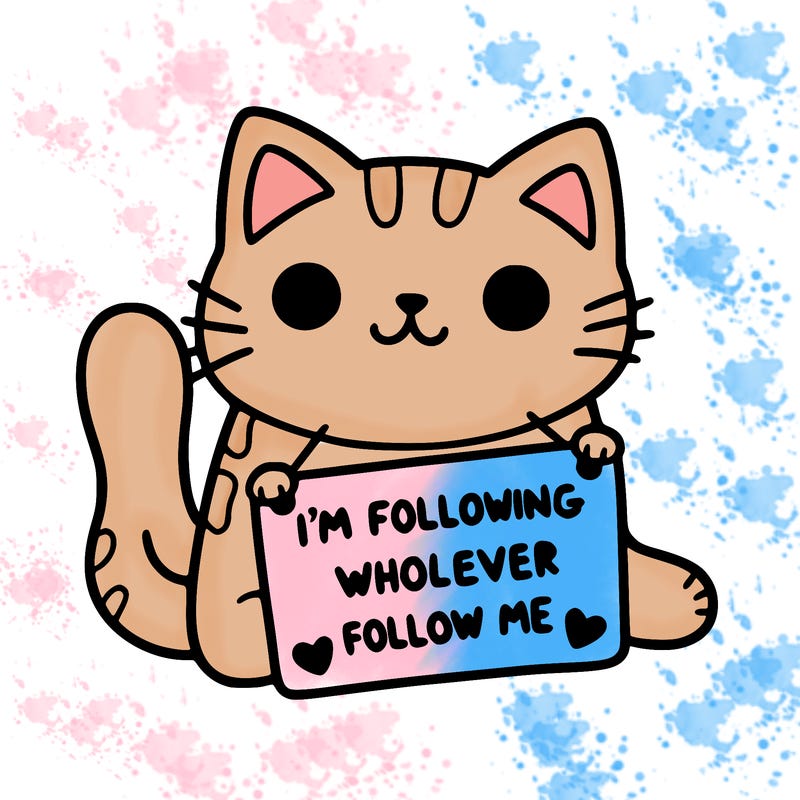 cat with a sign that says i’m following whoever follows me
