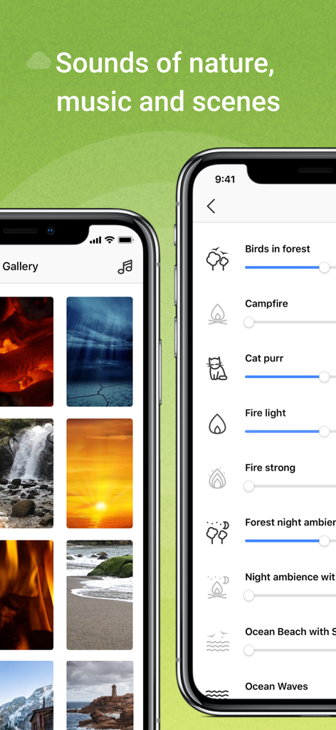 Zen Flow - Meditate Now - Interface of the Zen Flow app showing a gallery of visual relaxing scenes and a menu to adjust ambient nature sounds like birds and campfire