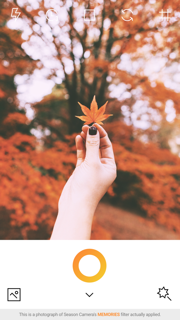 Une main tenant une feuille d'érable orange utilisant le filtre Souvenirs dans l'application de caméra Automne
