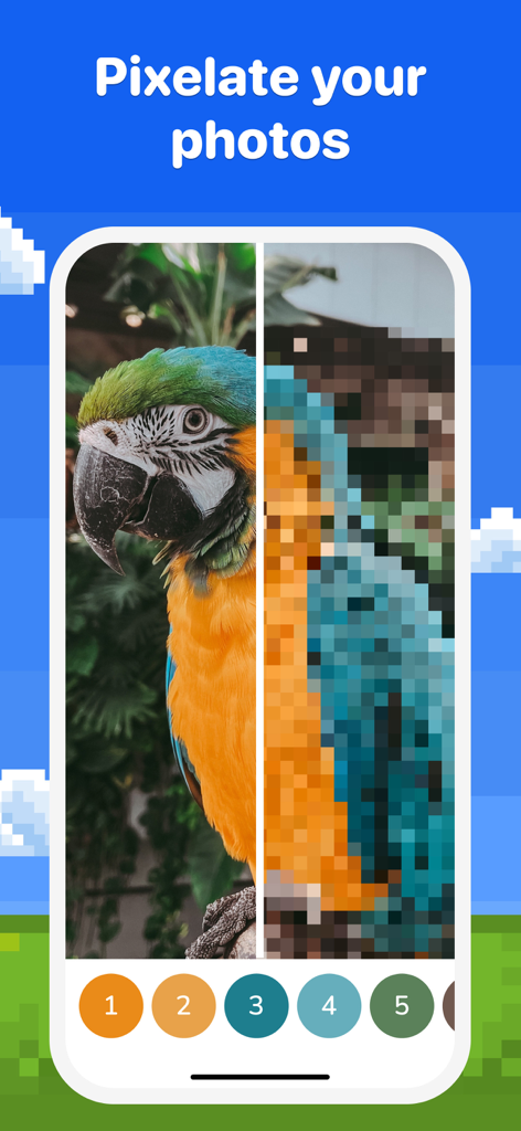 A split screen showing a real photo of a parrot being transformed into pixel art for coloring