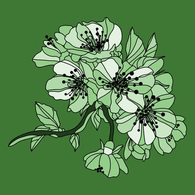 flowers_03