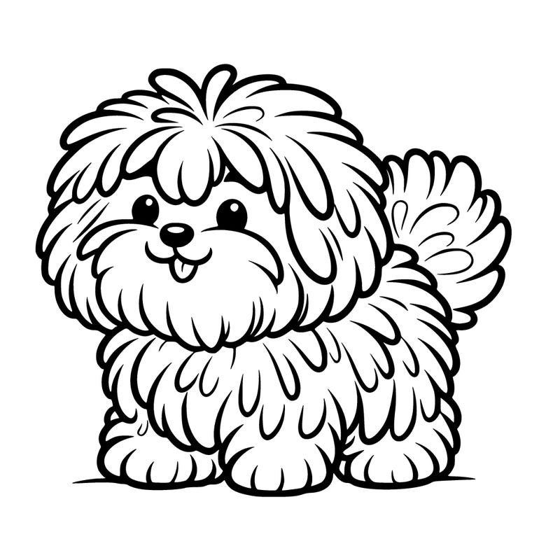 fluffy dog