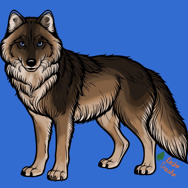 realistic wolf