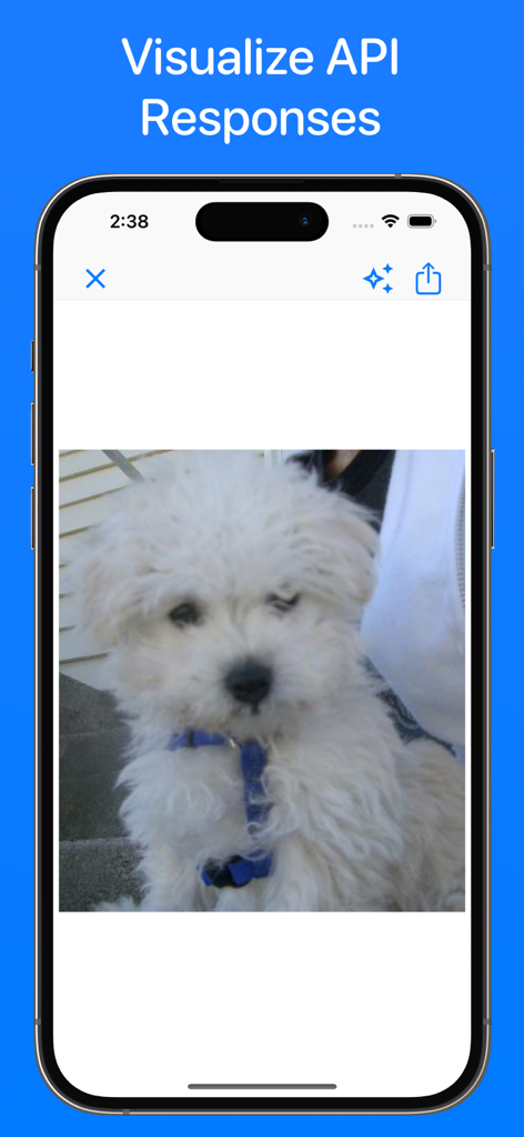 API Bot - API Bot mobile app interface demonstrating how to visualize an image response from an API call.
