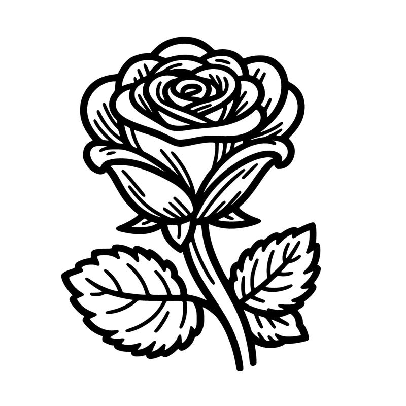 a rose
