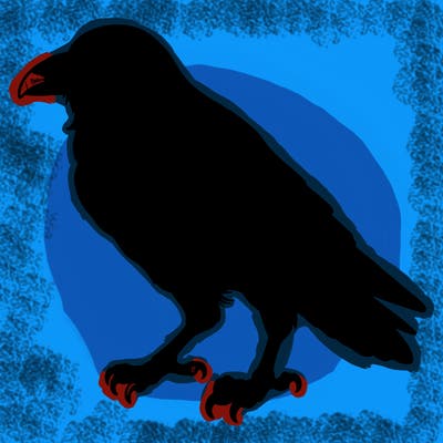 realistic raven