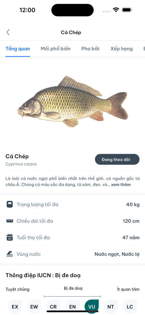 Fishmap - A detailed species information screen in the Fishmap app featuring a common carp with physical statistics and habitat data.