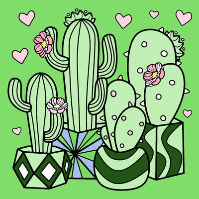flowers_24_new
