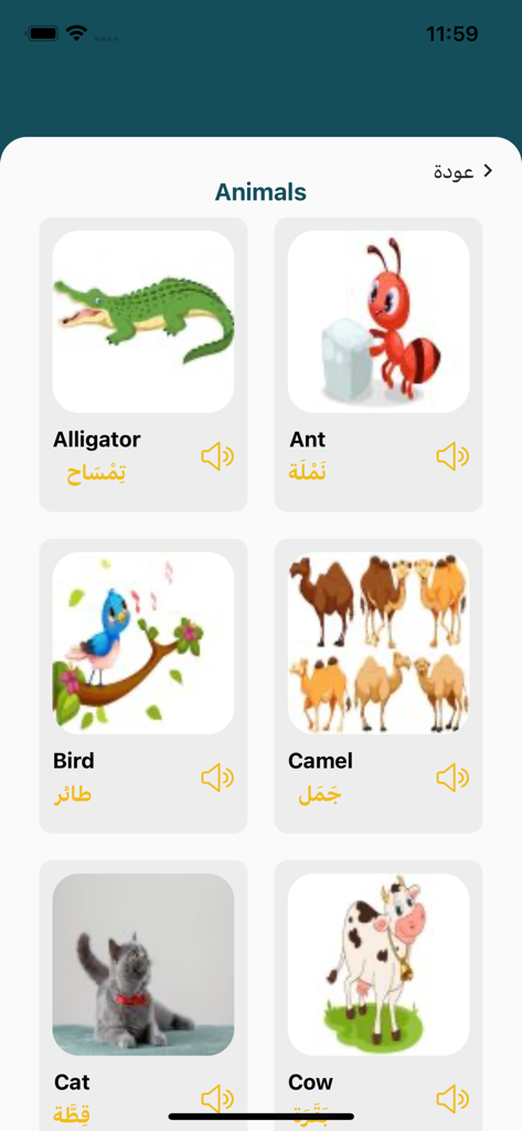 MY LEXIS PLUS - Cartes de vocabulaire arabe et anglais pour les animaux avec prononciations audio dans l'application My Lexis Plus.