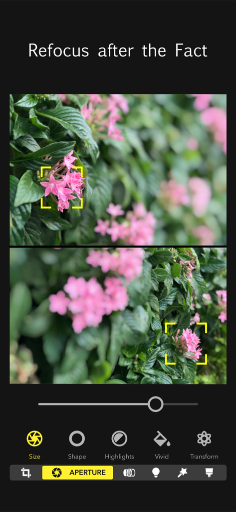 Interface da app Focos mostrando a funcionalidade de refocagem após o clique com dois pontos de focagem diferentes em flores cor-de-rosa.
