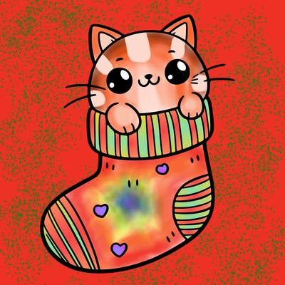 cute cat in a sock
