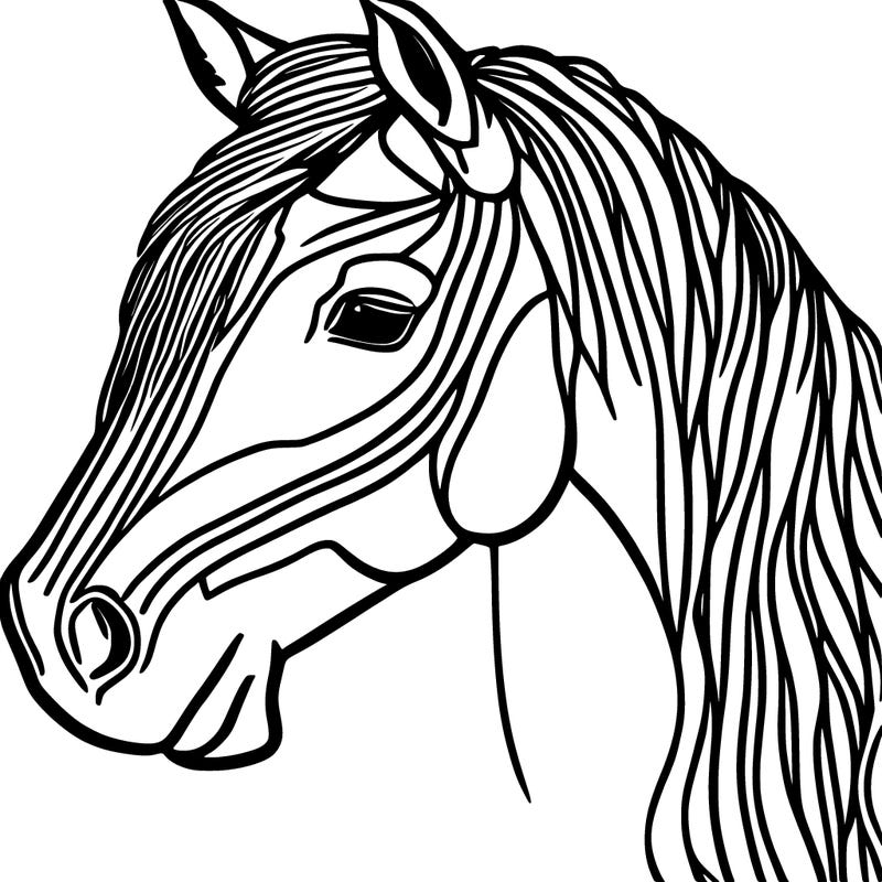 horses
