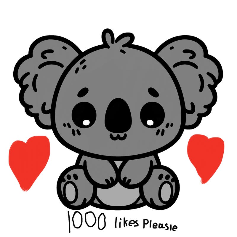 cute koala