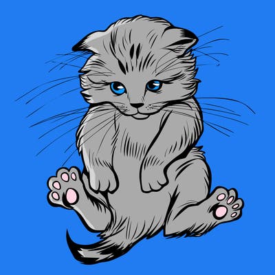 animals_20