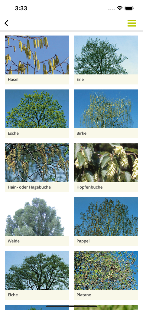 Pollen-News - A grid display of different allergenic tree species with their German names in the Pollen-News app.