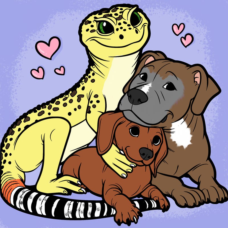 a leopard gecko dachshund and pitbull cuddling