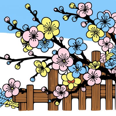 japan cherry blossom