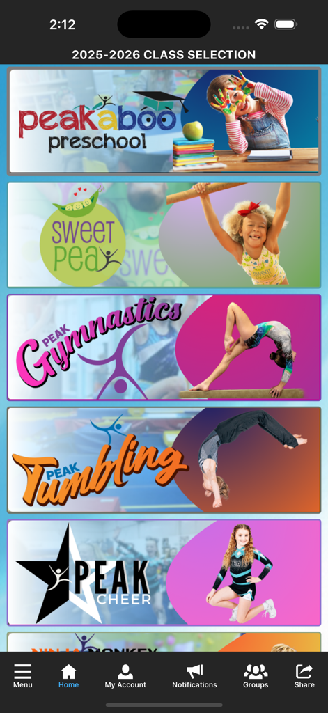 Peak Kids - Captura de pantalla de la app móvil Peak Kids que muestra una lista de categorías de actividades como gimnasia preescolar y porristas